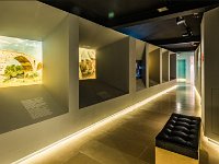 Musée POROS de Condeixa (Portugal) 2 oeuvres sont exposées dans un des plus beaux Musées du Portugal : Le Musée PO.RO.S. (Portugal Roman Muséum Sico) de la ville de Condeixa. Cette ville romane...